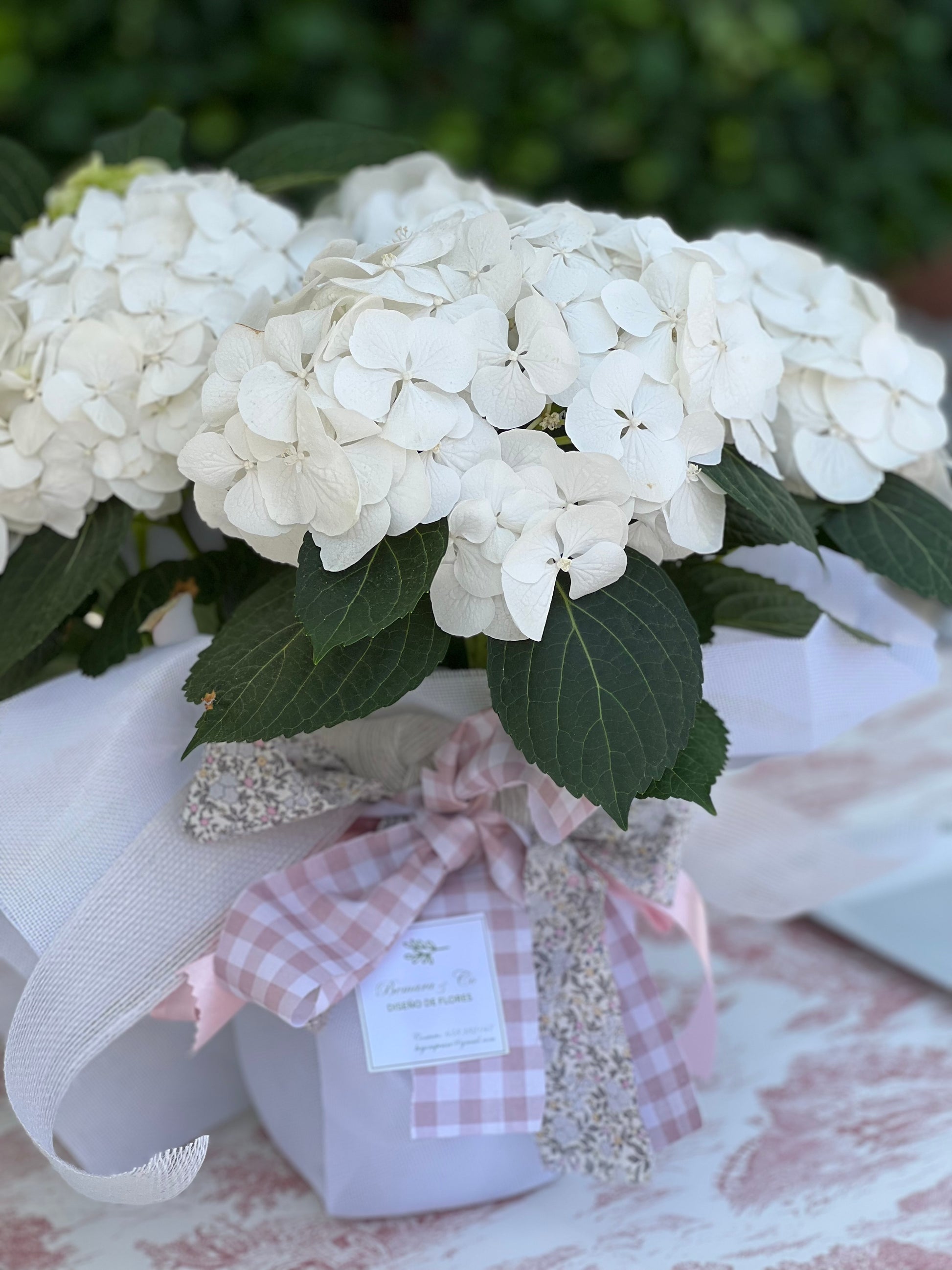 Centros De Flores - B&C