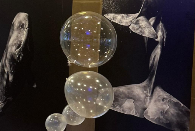 Trabajos De Imprenta - B&C