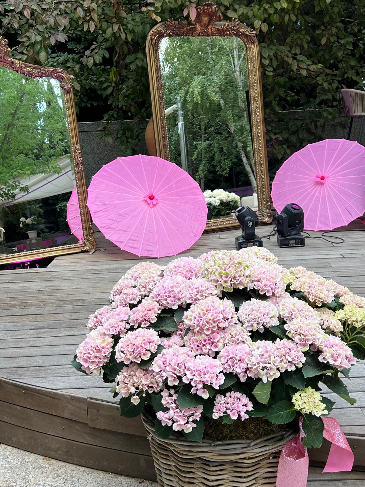 Decoración De Eventos En General - B&C