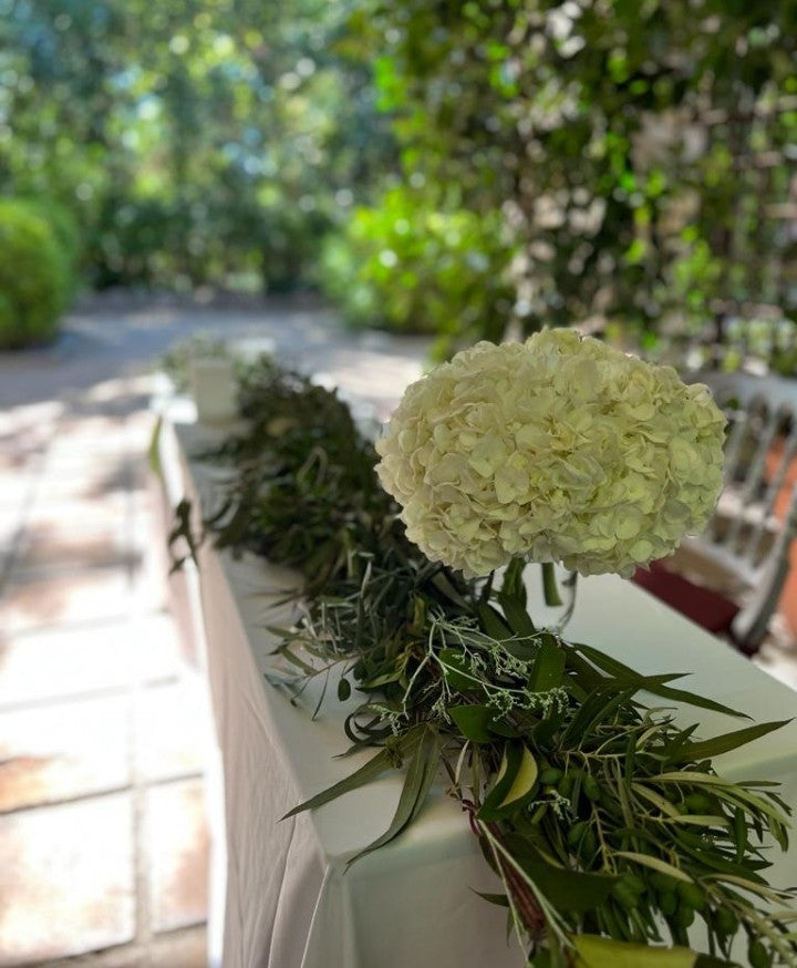 Centros De Flores - B&C