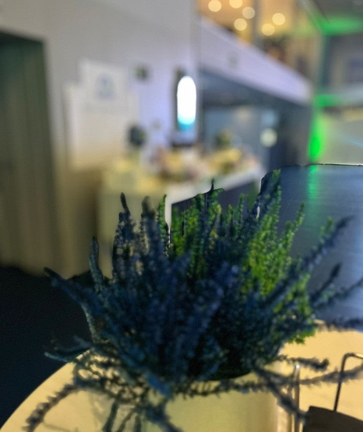 Centros De Flores - B&C